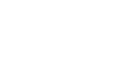 Selleys Logo